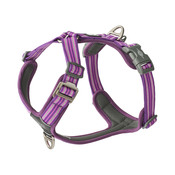 Comfort Walk Air Harness-Purple Passion_1