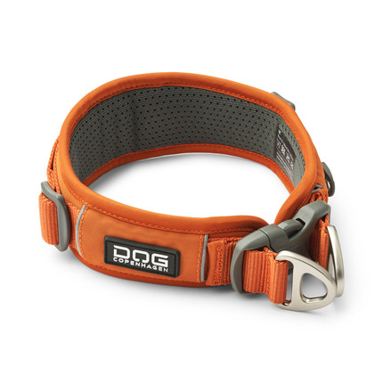 Urban Explorer Collar-Orange Sun_1