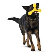 A6a3c508466df653129a5d071a665a630a6fd033