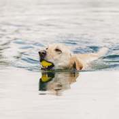 F38af277453c91f2cb6763c47f23a93b4a39df83