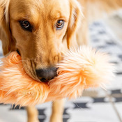 95ba5474c5da0ad7ca70d093f0183f84a46349be