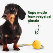 Ec8bfef77445a2ea40db013a3754d8933b691449