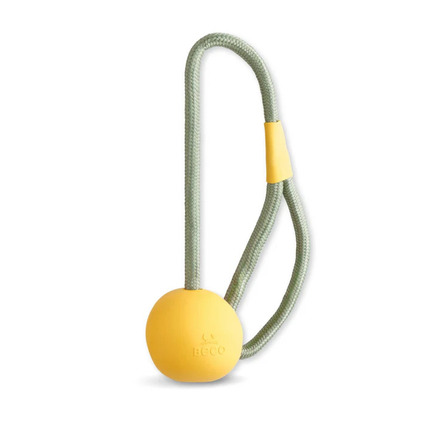 61-geconverteerd-van-webp