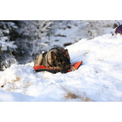 73f1f1e9446a3df6170305fa60eb3e79ca461bee