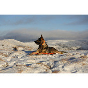 1dc78a37588f763e59fde8715bea76f0ef00a74e