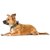 D9ff405ac69246f74be540445aa0baab4c83070c