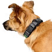 F5352d383fce21b77c1bdbd9e913d7db4464bd29