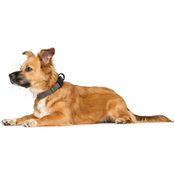 68132c8dc7f948689cb6f88fc1b56b1a90a36f62