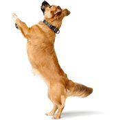 88dbf0396e8cf647569c17510a56f20c59b17320