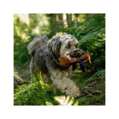 63e6d5553e54a30b23526472971a15415754568a