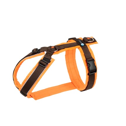 Shop_Geschirr_Protect_leuchtorange_braun