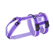 Shop_Safety_Lavendel