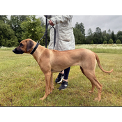 5a5ce712e8df52f1fdb24375cfe3f1c54ad68ffd