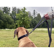 4cf076ead212dbac863753b462f1fe9193489cb2