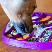 F01a1967ed8c79aa20c422bb885d0ca3fe6f8a74