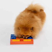 Ec68b5010dfce6e036b4aae8c7ff8c50322e8921