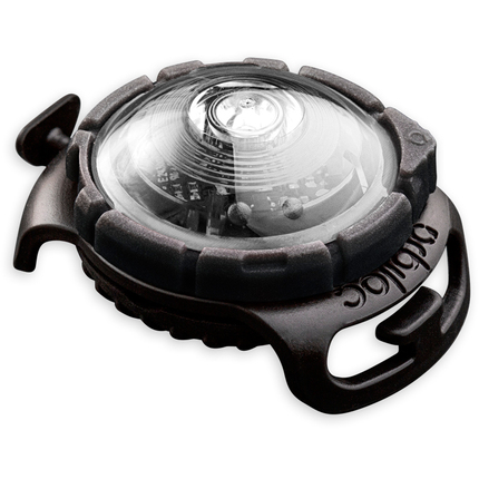 Orbiloc_Dog_Dual_White_exposed_HR