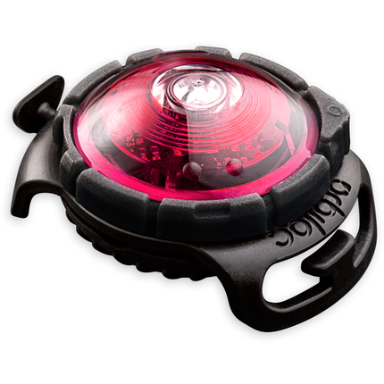 Orbiloc_Dog_Dual_Pink_exposed_HR