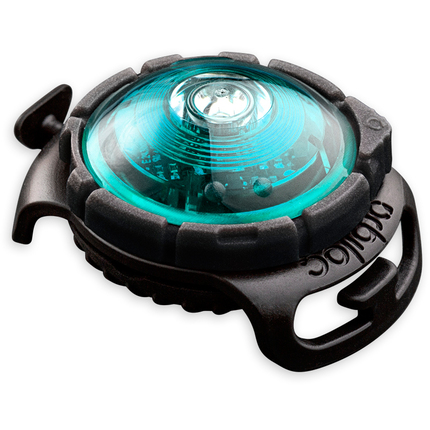 Orbiloc_Dog_Dual_Turquoise_exposed_HR
