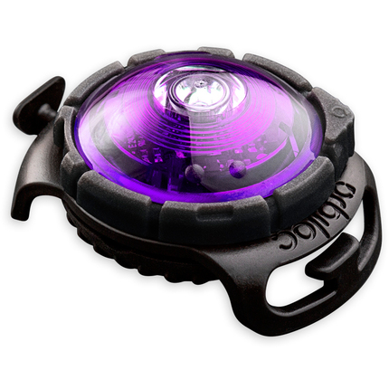 Orbiloc_Dog_Dual_Purple_exposed_HR