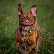 D63714bb12254db9bf87eeec3ed205522888743f