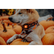 A5cd08aaa80a753252ec9105398482884cab0ae8