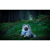 Ea57a01b58a4f04d00be636b81596532c1aab8f7