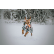 99283e3e8c0bab0c1e72e6ec71e5d41d8f464183