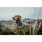 Cf1b272cdcd3d993cdfd1d0194ef9250e327ee8d