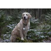 0294397d95d38f7f714b98b679c3b35cfacb3ef4