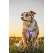 Ad2576072c976216f2dbf57164943e64076e5941