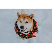 8067a595b6e3897b710d3c469affce7e9681710f