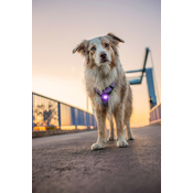 30f20d92ae02566b2550a231a4b5b58b6e9f8eef