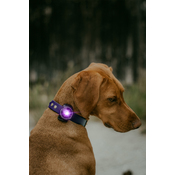 6b249b95f3a0cec82048cc9be5f4c8bc0429dd12