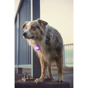 Bd58c5d9f391997db74db8cdb9a356db40a0b401