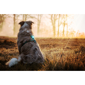 F8fb3f90f116cbf10638af5a71ccff39af8a8c0e