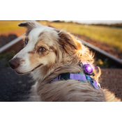 Dc6188087a6742e565984fe0f7eec61a78aa5f67