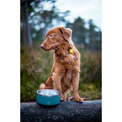 1fa59f2bb96215171bca4e16599dcdd2e66fdbf0