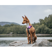 5c6996db83f4e824a75a8525dc73da853b415c05