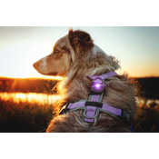 D9e19b04fb48427ffd4b749c18923116306be02b