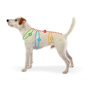 Bf1ee428e1fb85d088ebd6583e6d07e527656744