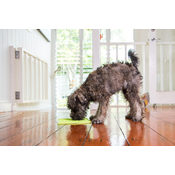 5ea06fd24409239a7b49d2c8d4de76683ca0a3c3