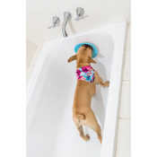 B1c2b6d0b2c3ad7395f11eebdb8fb79e8c196276