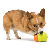 2df64bc87c2ab36c5a4a58f1eb6571be13fb62d3