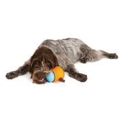 6bffe5631ac450f4e2fc976d900db43dede5e6b8