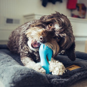 07f2afb844350d0e53a740e029e81e94f05ee54b